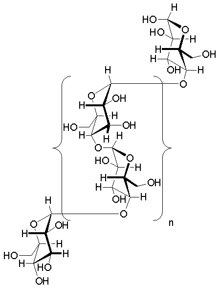 α(1→4)-glycosidic linkages in the glycogen oligomer