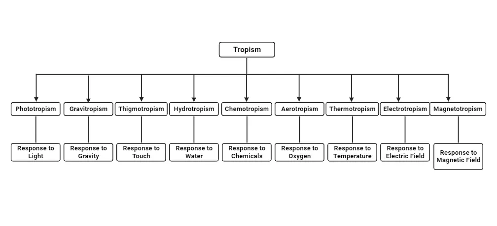 Types of Tropism