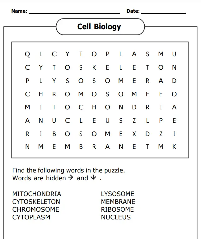 Biology Word Search Worksheet on Cell Biology Terms