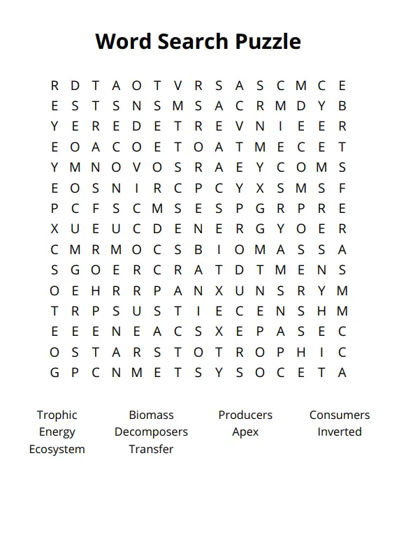 Biology Word Search Puzzle on Ecological Pyramids