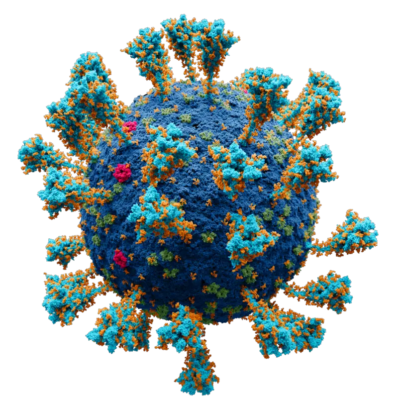 Are Viruses Living or Non-Living?
