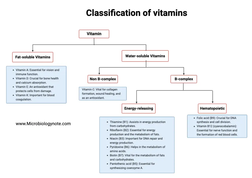 Classification of Vitamins (Types of Vitamins)