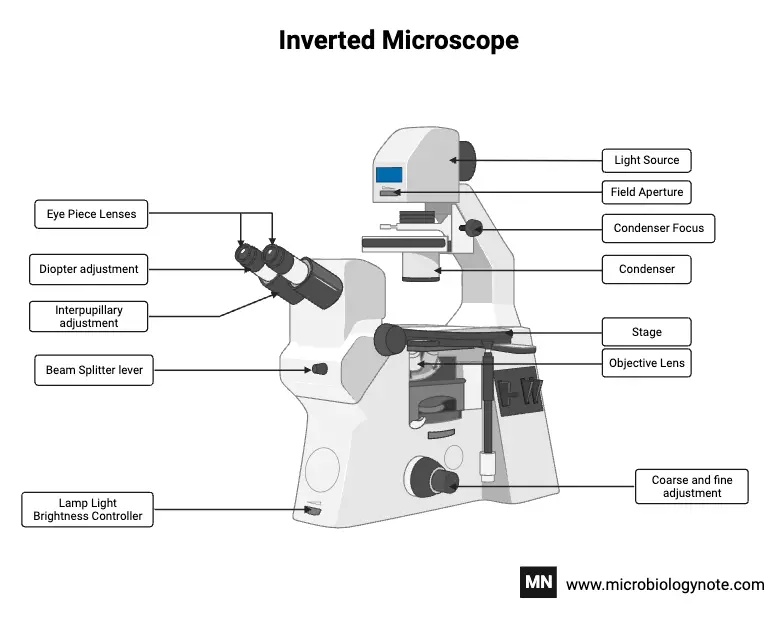 Parts of Inverted Microscope