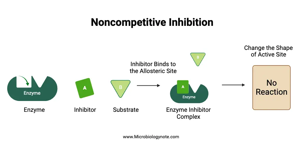 Noncompetitive inhibition