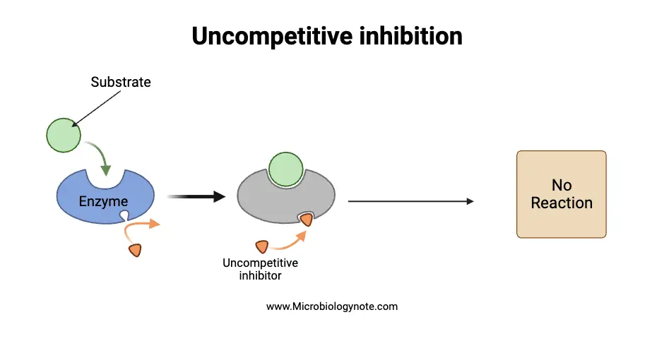 Uncompetitive inhibition