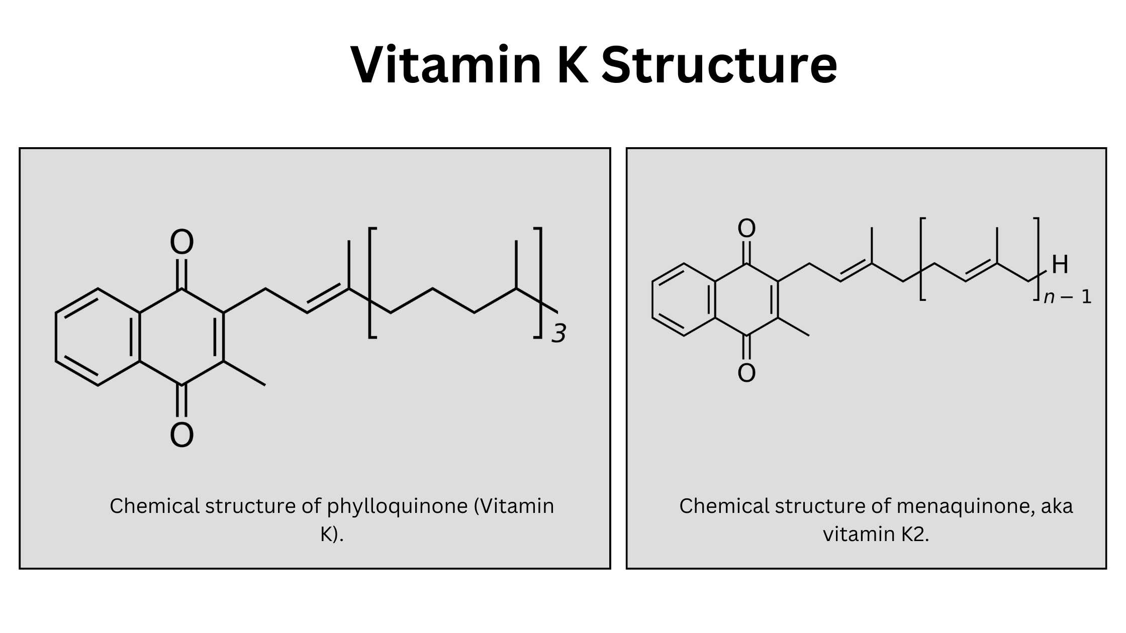 Vitamin K - Structure, Properties, Biological roles and Deficiency