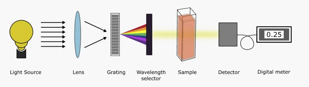 Single beam UV-Visible spectrophotometer
