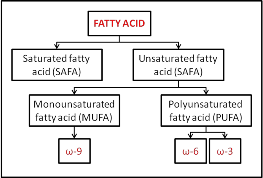 Saturated and unsaturated fatty acids