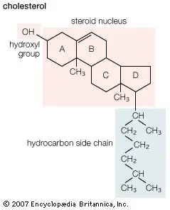 The structure of Cholesterol.