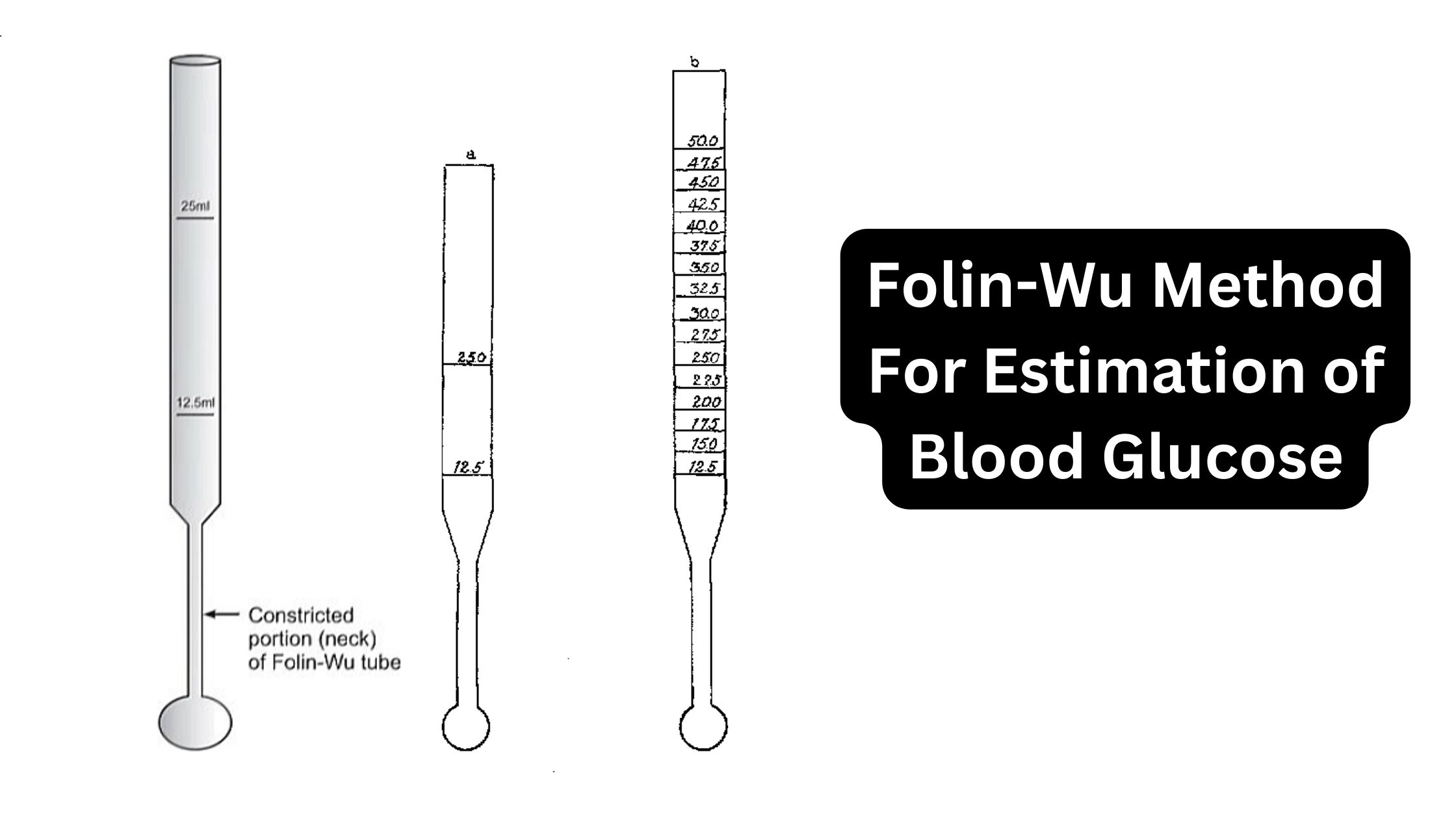 Folin-Wu Method For Estimation of Blood Glucose