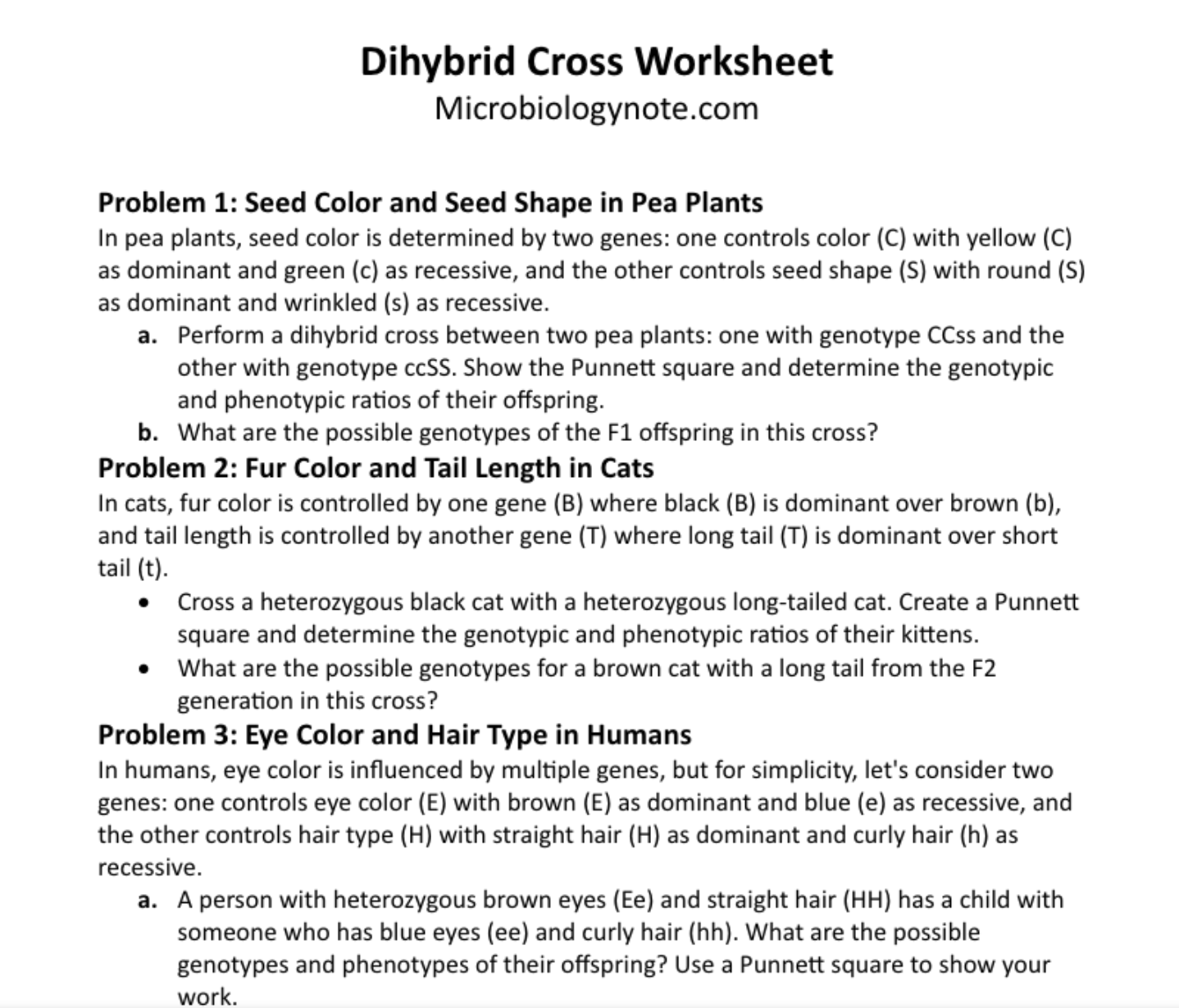 Dihybrid Cross Worksheet