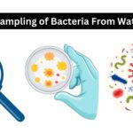 Sampling of Bacteria From Water