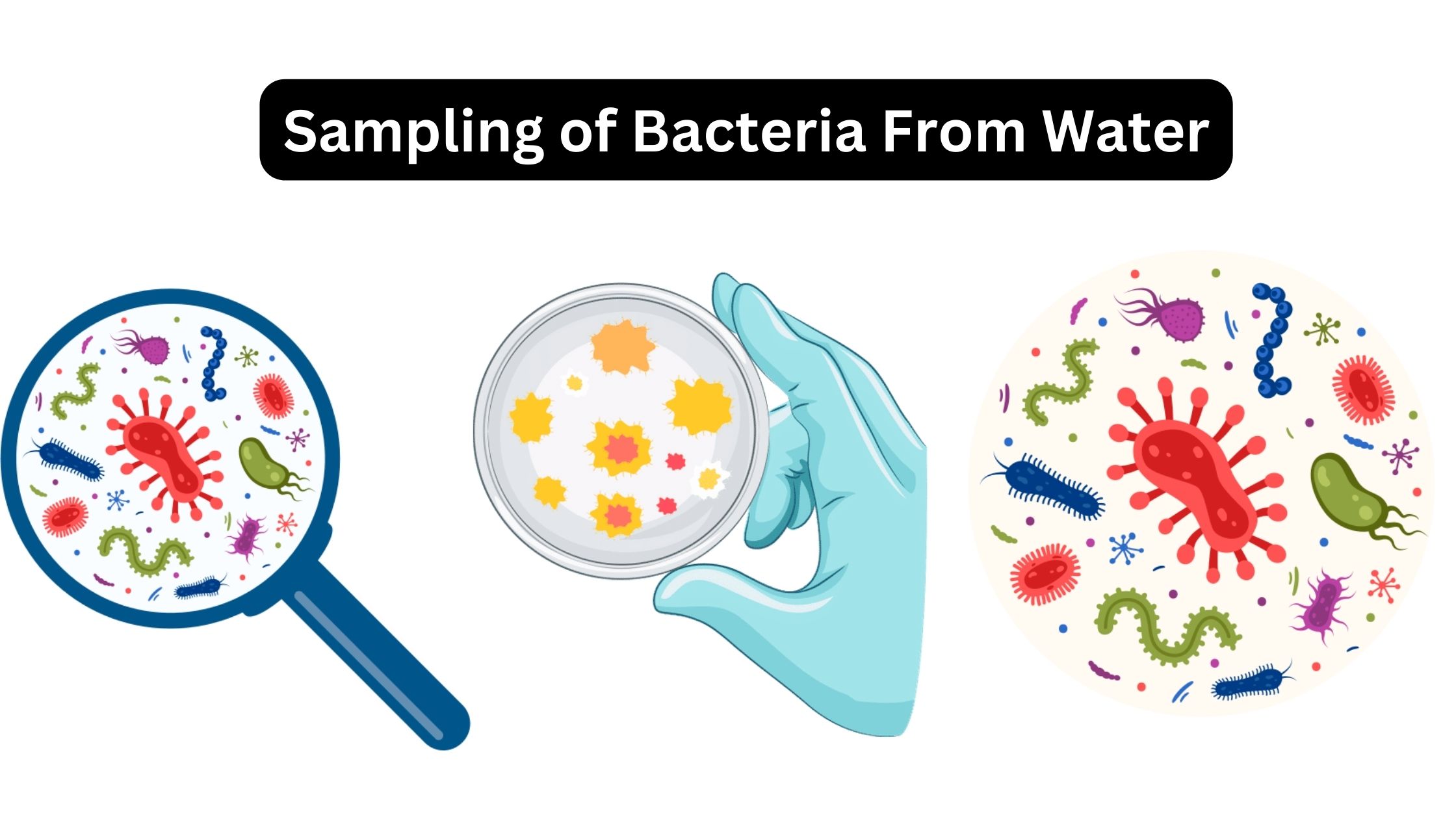 Sampling of Bacteria From Water