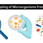 Sampling of Microorganisms From Soil