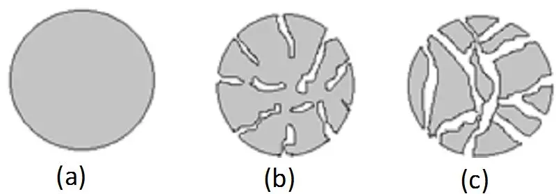 Schematic presentation of different matrix types (a) non-porous beads (b) microporous beads (c) macroporous beads